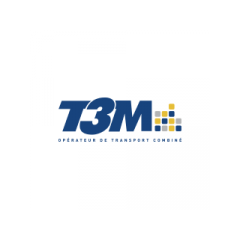 T3M